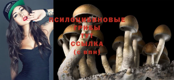 таблы Абдулино