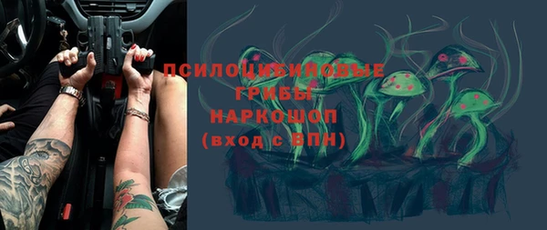 индика Абаза