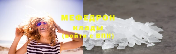 индика Абаза