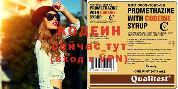 индика Абаза