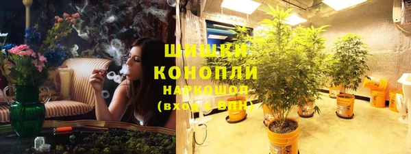 индика Абаза