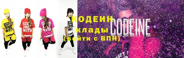 индика Абаза