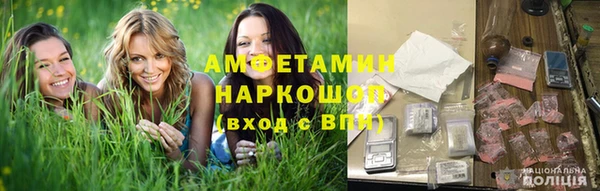 индика Абаза