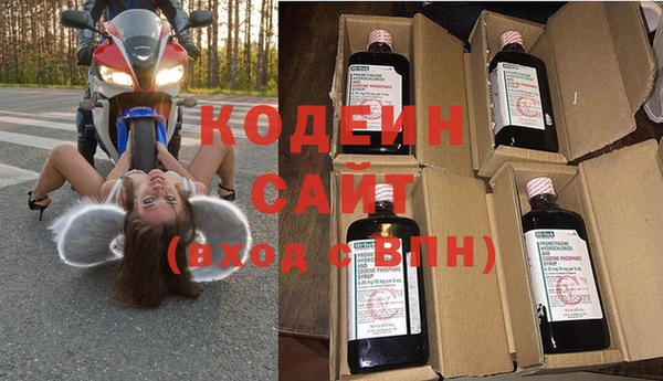 индика Абаза