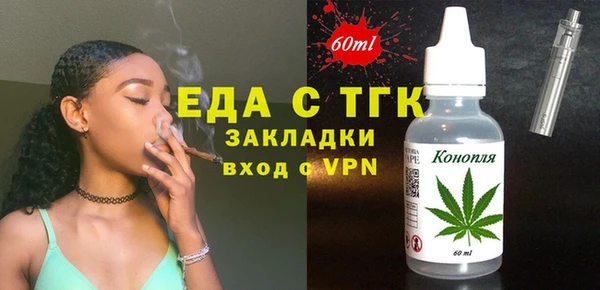 индика Абаза