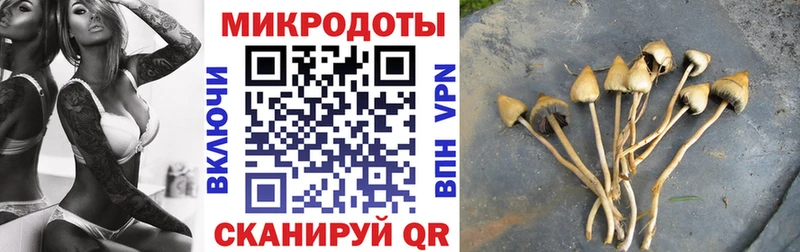 где можно купить наркотик Отрадный Галлюциногенные грибы ЛСД
